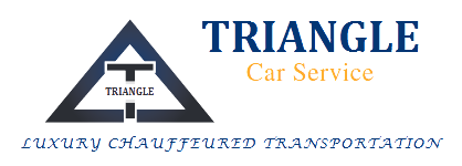 Triangle Car Services logo